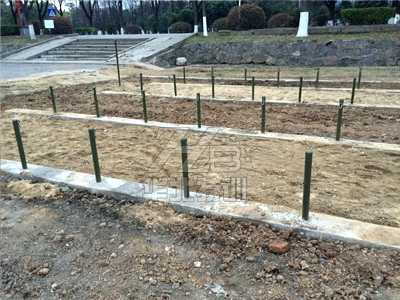 �͘��W(w��ng)