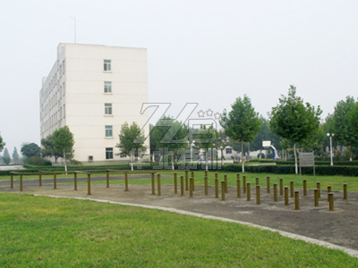 �����ߣ�÷�����������ۘ�