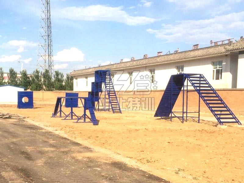 ��ȮӖ(x��n)����(ch��ng)